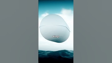 The Story of The Tic-Tac UFO Encounter