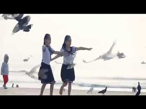 [PHONG CẢNH] Cảnh Đẹp Thiên Nhiên Việt Nam 3 Miền – Sưu Tầm Flycam
