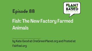 88 Fish The New Factory Farmed Animals By Kate Good At Fishfeel