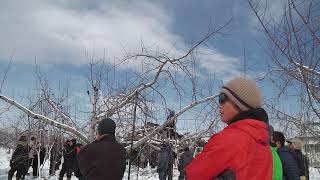 20190110長野県果樹研究会1329～普通樹剪定交流会