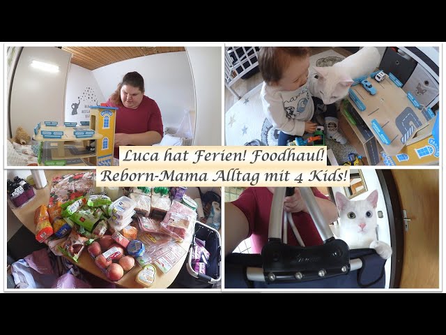 KiTafrei! Foodhaul! Reborn Mama Alltag mit 4 Kids! || Reborn Baby Deutsch || Little Reborn Nursery class=