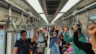 Cinematic Lrt Pixel 9 Pro Xl