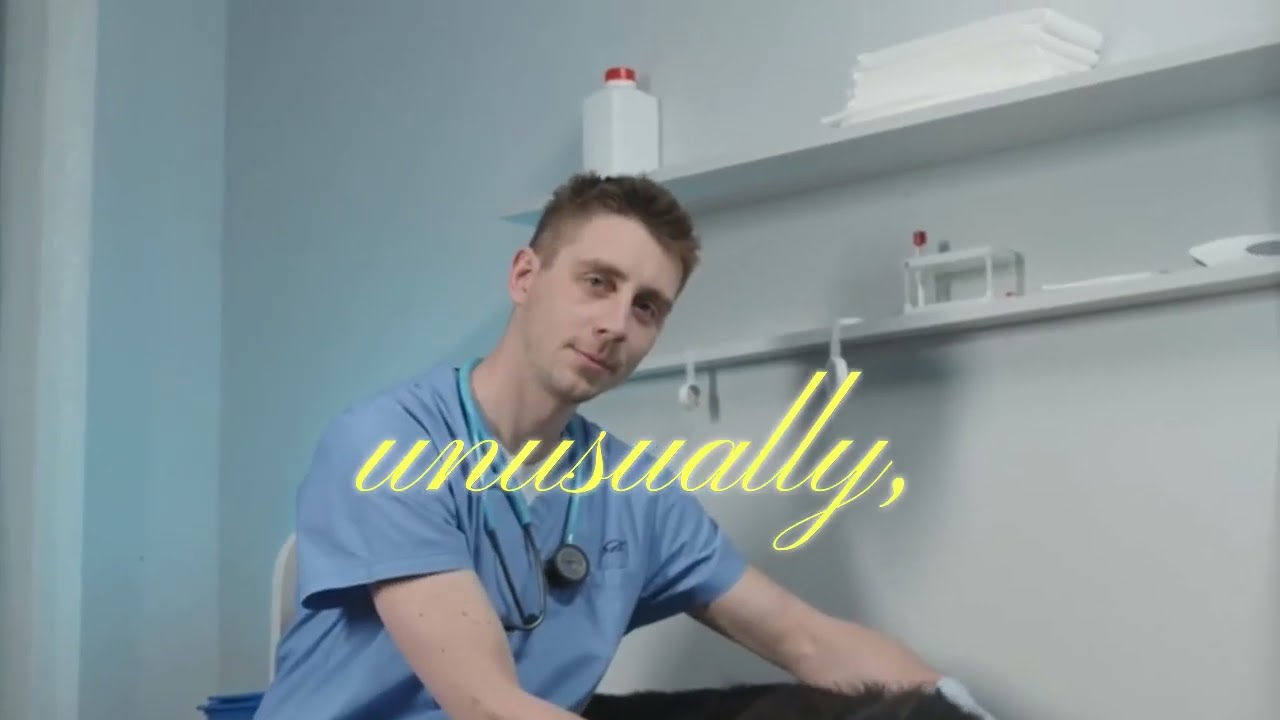 Dog Vomiting Concerns Explained