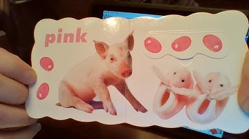 Aided Input with the Color book