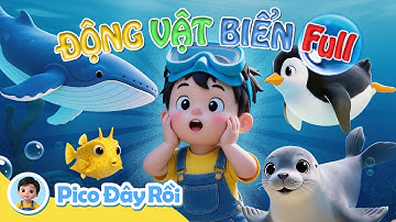 Trọn bộ khám phá động vật biển | Giáo dục sớm cho trẻ | Early Learning For Kids