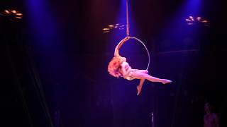 LIMBO AERIAL HOOP - Penelope Elena