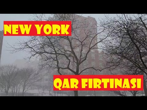 Video: New York City Sığınacaq İti Itirildikdən Sonra Qar Fırtınasından Sağ çıxdı