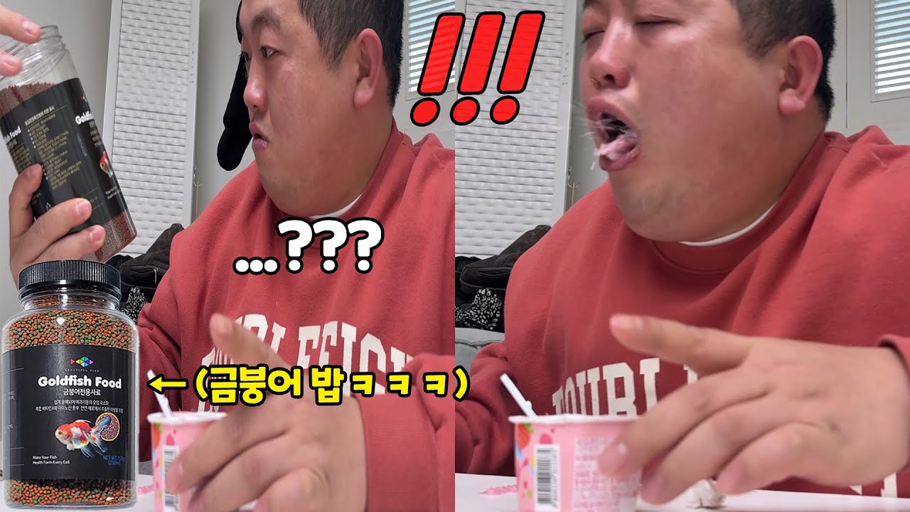 구슬 아이스크림 안에 금붕어 밥 섞어주기ㅋㅋㅋ