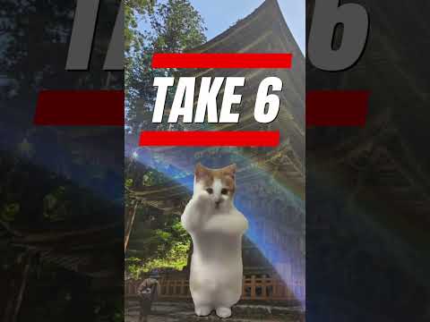 YouTube用ショート動画の実績多数！編集技術で魅せる映像制作