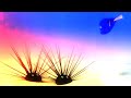 Finding Dory -I'M SORRY, I'M SORRY... | Sponsored by Gamavission Csupo Effects