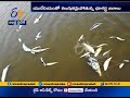 Groundwater in 16 Indian states contaminated by uranium