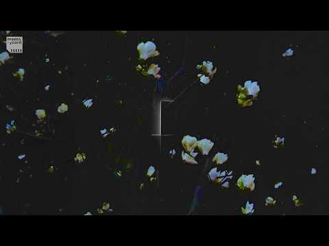 cathedral bells - corridor
