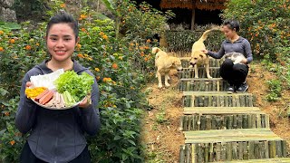 Renovate bamboo stairs - make pho rolls and enjoy countryside life