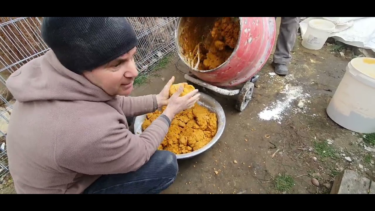 (22.02.2023) TURTELE PROTEICE