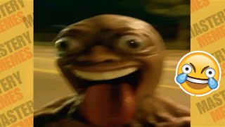 Tente Não Rir Os Melhores Memes Da Internet