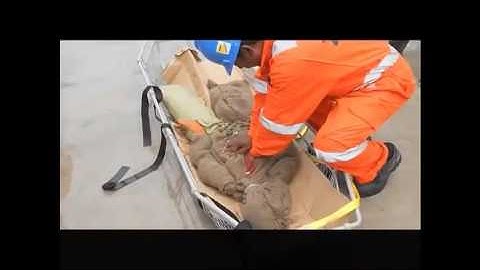 tunneling technology