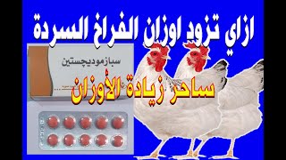 افضل علاج بشري والمشروب الجبار لزياده الاوزان بسرعه الصاروخ   اليوم ال 33