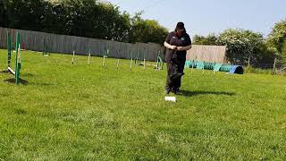 R/O Bonus 1. Call Front Side Step Right/Left (moving right)