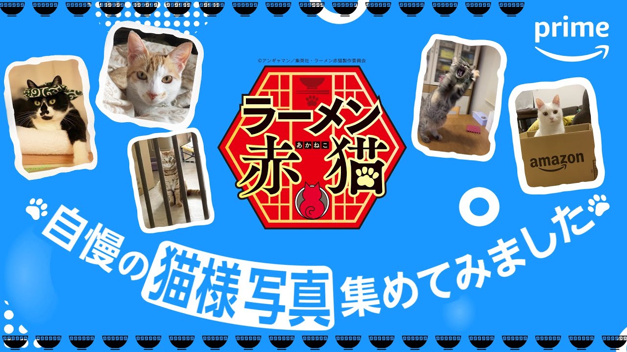 TVアニメ『ラーメン赤猫』自慢の猫様写真集めてみました🐈|プライムビデオ