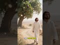 Jesus Curses the Fig#JesusCursesFigTree#FigTreeStory#BibleStories #GospelTruth#JesusTeaching#Jesus