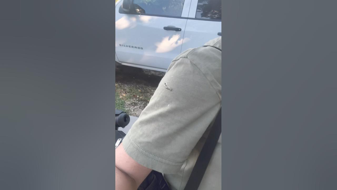 A Bird Pooped On Me As I Was Getting In The Car thatssokeywest a-bird-pooped-on-me-as-i-was-getting-in-the-car-thatssokeywest