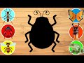 CUTE ANIMALS Ladybug, Frog, Bee, Butterfly, Ant | Can You Guess the True Animals? #24