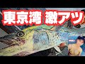 女船長サワラ & 大真鯛が止まらない…自己記録更新か!?