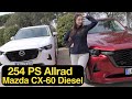 Mazda CX-60 e-Skyactiv D 254: Für wen Allrad und 254 PS besser sind als 200 PS [4K] - Autophorie