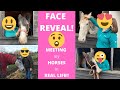 FACE REVEAL! and MEETING my HORSES in REAL LIFE! LadyRangerGamer