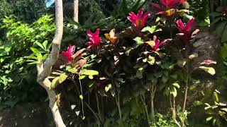 Bali Kebun Indah Ubud