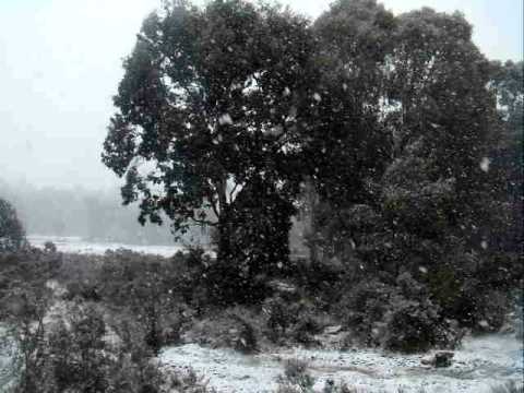 Snowing in Highlands - Tasmania