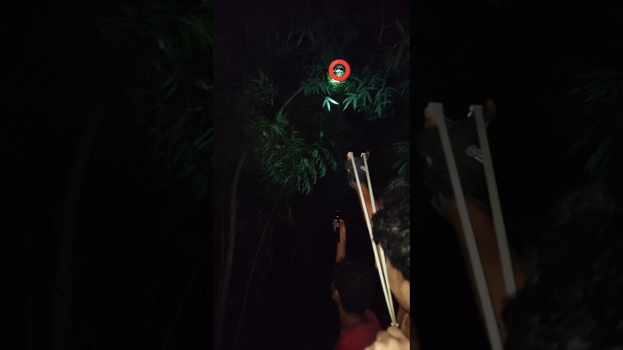 🎯 Slingshot Bird Hunting in Village | Real Action 