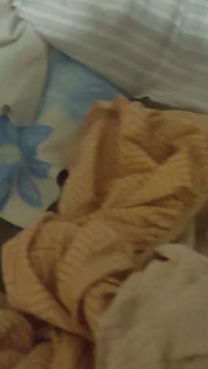 Sleeping beauties 😍 #funny #comedy #overnight