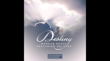 Markus Schulz Feat. Delacey - Destiny (Acapella)