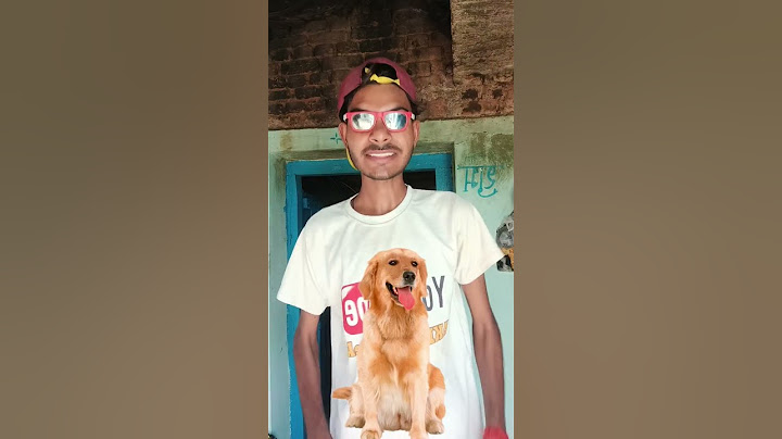 Conversation with street dog vs pet dog  😂🐶 #shorts #indian #funny #dog #trendingshorts