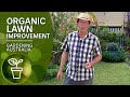 Organic tips to control weeds and improve your lawn