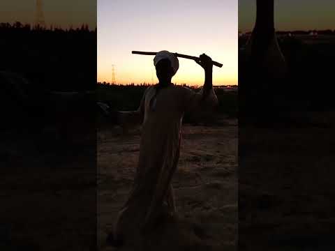 مكنه شغل