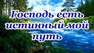 Vignette de la vidéo "ФОНОГРАММА Господь есть истинный мой путь"