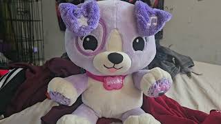 Im Back 2022 My Pal Violet Smarty Paws Review