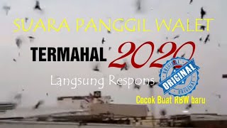 SP  TERMAHAL  Tahun 2020, Full Respons 100 %