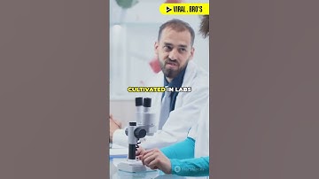 HUMAN BRAIN CELLS POWERING ROBOTS IN CHINA?!