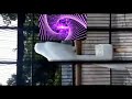 Cendet Albino Gacor Dor Mewah Full Isian Masteran Mp3 - Mp4 Download