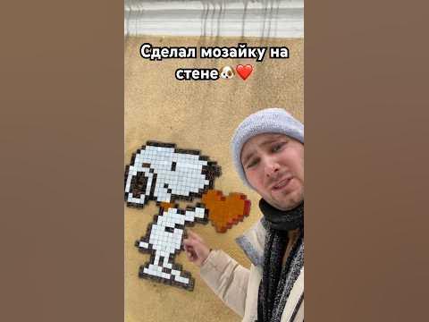 Красивая собачка? ️ - YouTube