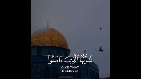 حالات واتس اب يوم الجمعة سورة الكهف / ستوري انستا يوم الجمعة سورة الكهف 🤍