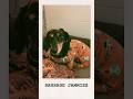 Make dachshund pyjamas with me! #dog #doglover #diy
