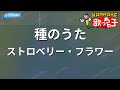 【カラオケ】種のうた / ストロベリー・フラワー