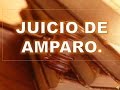 Nociones básicas sobre el juicio de Amparo