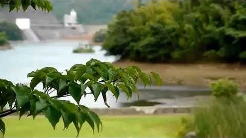 قارئ الشيخ امين عرفه .سورة الزمر
