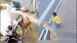 Dogs saving kids❤️😍