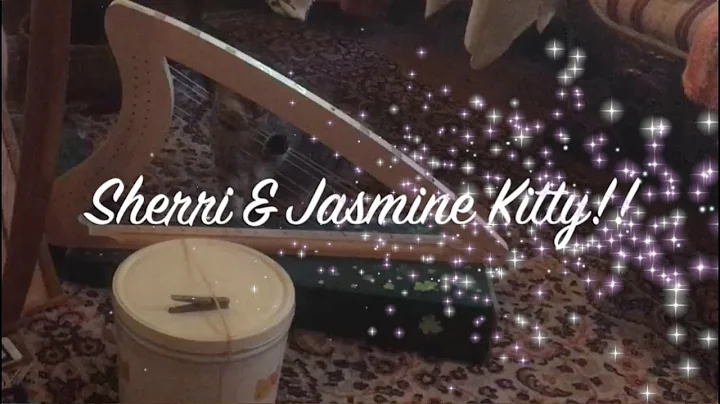 Sherri & Jasmine Kitty Improvise on Harp!